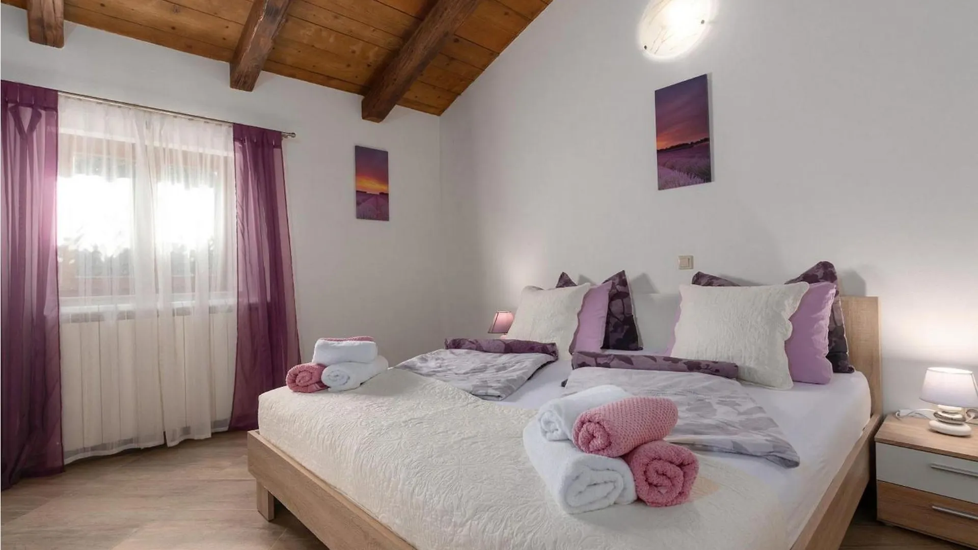 Villa Mainenti Visnjan Holiday home